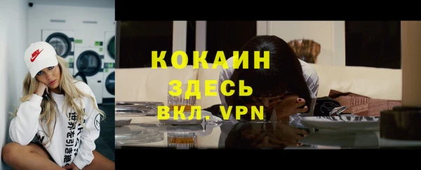 хмурый Дубовка