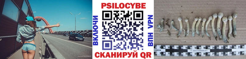 Купить закладки  Калтан  Псилоцибиновые грибы MAGIC MUSHROOMS 